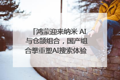 鸿蒙迎来纳米 AI 与仓颉组合，国产组合拳重塑AI搜索体验｜新经济观察