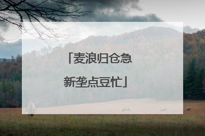 麦浪归仓急 新垄点豆忙