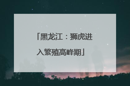 黑龙江：狮虎进入繁殖高峰期