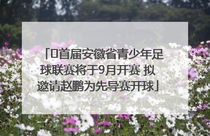 ﻿首届安徽省青少年足球联赛将于9月开赛 拟邀请赵鹏为先导赛开球