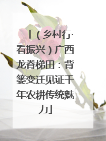 （乡村行·看振兴）广西龙脊梯田：背篓变迁见证千年农耕传统魅力