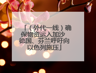 （外代一线）确保物资运入加沙 德国、芬兰呼吁向以色列施压