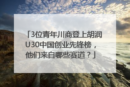 3位青年川商登上胡润U30中国创业先锋榜，他们来自哪些赛道？