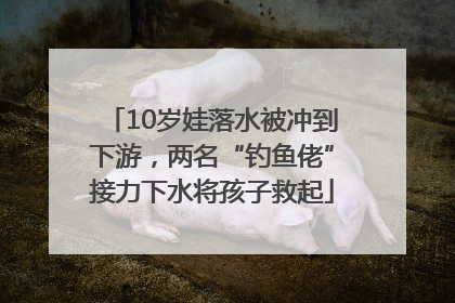 10岁娃落水被冲到下游，两名“钓鱼佬”接力下水将孩子救起