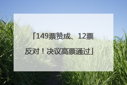 149票赞成、12票反对！决议高票通过