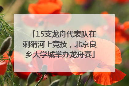 15支龙舟代表队在刺猬河上竞技，北京良乡大学城举办龙舟赛