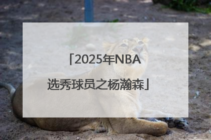 2025年NBA选秀球员之杨瀚森