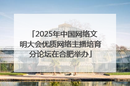 2025年中国网络文明大会优质网络主播培育分论坛在合肥举办