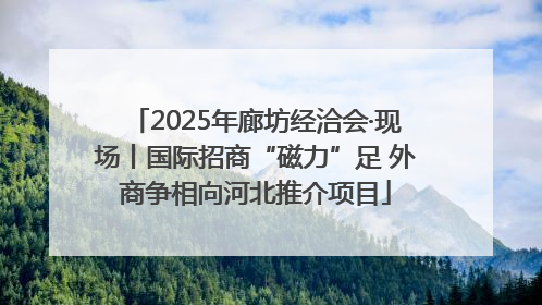 2025年廊坊经洽会·现场丨国际招商“磁力”足 外商争相向河北推介项目