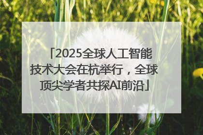 2025全球人工智能技术大会在杭举行，全球顶尖学者共探AI前沿