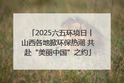 2025六五环境日丨山西各地掀环保热潮 共赴“美丽中国”之约