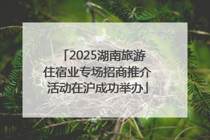 2025湖南旅游住宿业专场招商推介活动在沪成功举办