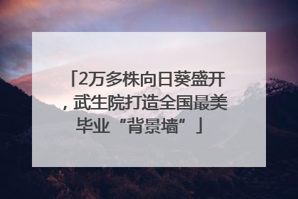 2万多株向日葵盛开，武生院打造全国最美毕业“背景墙”