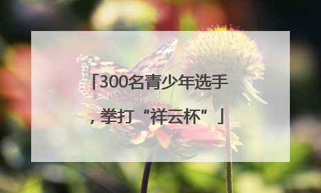300名青少年选手，拳打“祥云杯”