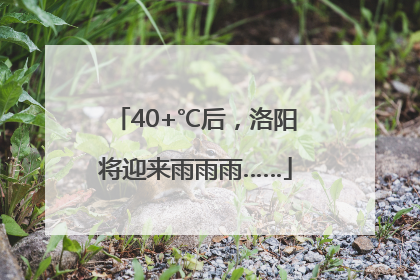 40+℃后，洛阳将迎来雨雨雨……