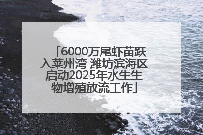 6000万尾虾苗跃入莱州湾 潍坊滨海区启动2025年水生生物增殖放流工作