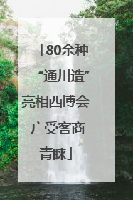 80余种“通川造”亮相西博会 广受客商青睐