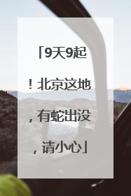 9天9起！北京这地，有蛇出没，请小心