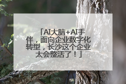 AI大脑+AI手伴，面向企业数字化转型，长沙这个企业太会整活了！